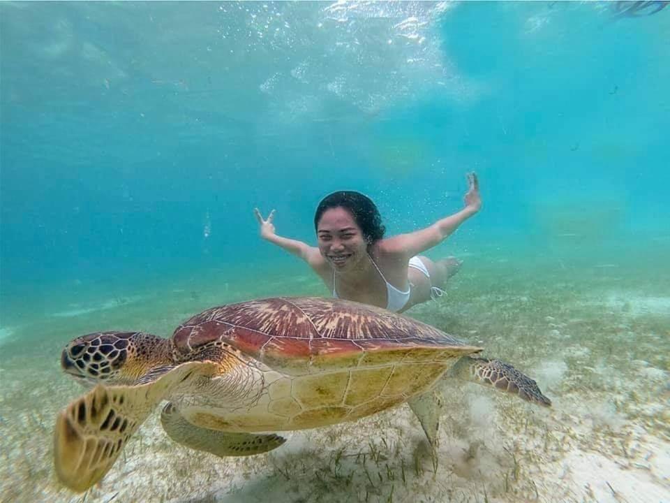 Tauig Beach Resort Moalboal Eksteriør billede