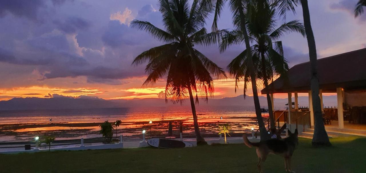 Tauig Beach Resort Moalboal Eksteriør billede